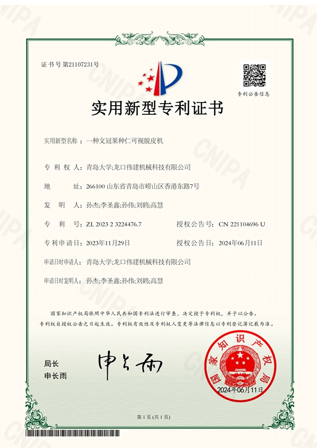 Patent Certificate 6